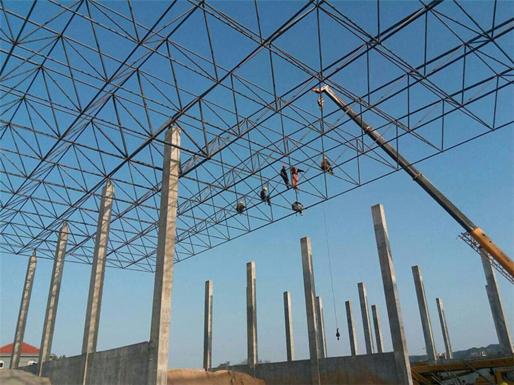 日喀则加气站钢结构网架案例10